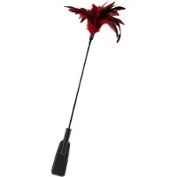 GP Feather - zweep en verenstrel - rood