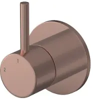 Hotbath Buddy inbouw 2-weg omstel geborsteld koper PVD