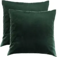 Ferocity - Set fluwelen kussens - 2 kussens met hoes - bankkussen voor de woonkamer, slaapkamer - 45 x 45 cm - Velvet - Flessengroen