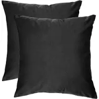 Ferocity - Set fluwelen kussens - 2 kussens met hoes - bankkussen voor de woonkamer, slaapkamer - 45 x 45 cm - Velvet - Zwart