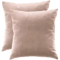 Ferocity - Set fluwelen kussens - 2 kussens met hoes - bankkussen voor de woonkamer, slaapkamer - 45 x 45 cm - Velvet - Roze