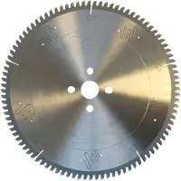 Leja Tools Atm-ne-neg.3003096 300x30 Mm Messen Voor Cirkelzagen Van Metaal