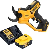 DeWalt DCMPP568P1 18V XR Li-Ion Accu Snoeischaar Set (1x 5.0Ah Accu) - 38mm