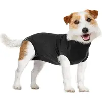 Suitical International B.V. Suitical Recovery Suit Hond - Zwart
