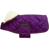 Kentucky Regenjas Hond Paars XXS Purple