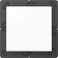 JUNG EnOcean draadloze wandzender AS500 wit 2-kanaals - ENOA590WW