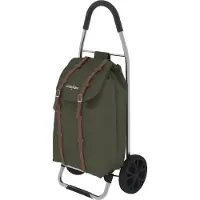 Colombo boodschappenwagen Dakar groen - stevige trolley voor boodschappen.