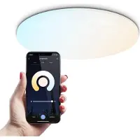 HOFTRONIC™ SMART LED Plafondlamp - RGBWW - WiFi en Bluetooth - 2400lm - Slimme Verlichting - 24W - Plafonniere - Ø29.5 cm - Rond