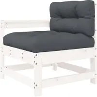 vidaXL Tuinstoel met kussens massief grenenhout wit