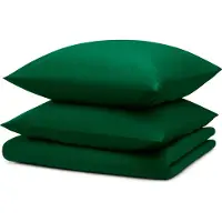 Blumtal Dekbedovertrek met Kussensloop - Anti-Allergisch - Tegen huisstofmijt - Set van 2 - 135 x 200 cm - 2 Kussenslopen 40 x 80 cm - Mintgroen