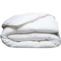 Blanreve Stofbed voor gematigde temperaturen, beschermt tegen mijten - 300 gr/m² - - 260 x 240 cm - Wit