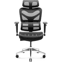 Diablo - Bureaustoel V-COMMANDER - Ergonomische bureaustoel verstelbaar - Zwart