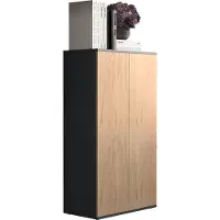 VCM Dalosa3 dressoir 2 deuren antraciet, eik decor.