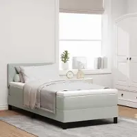 Prolenta Maison Exclusive - LED boxspringbed met LED-verlichting, lichtgrijs, 100 x 200 cm, fluweel