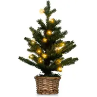 Costway 48 cm kleine kerstboom, verlichte mini kerstboom, met 20 LED's in warm wit, kerstboom met een plantenpot van wilgenhout en timer, kerstboom