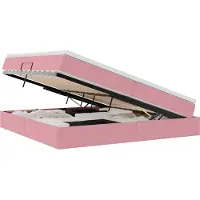 vidaXL Opbergbed met matras met opslag Roze 200 x 200 cm Fluweel