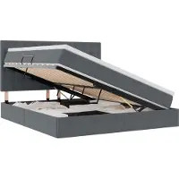vidaXL LED opbergbed met matras Donkergrijs 180 x 200 cm Fluweel