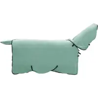 vidaXL Paardendeken Bijzondere Groen 105 cm Polyester Fleece