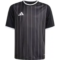 Adidas Entrada26 Graphic Voetbalshirt Kids