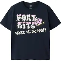 Name it Shirt 'NKMFRANS FORTNITE' navy / rosa / zwart / wit