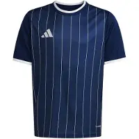 Adidas Entrada 26 Graphic Shirt Kids