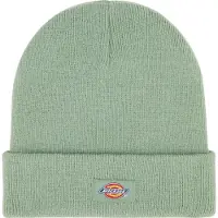 Dickies Muts 'Gigsland' lichtgroen
