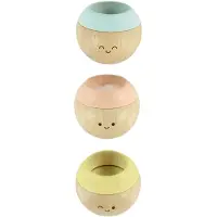 PlanToys -