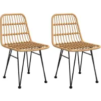 vidaXL Tuinstoelen 2 st 48x62 84 cm PE-rattan