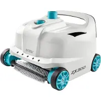 Intex Zwembadstofzuiger 28005, aangedreven door water, met dubbele borstel en fijnfilter van 0,15 mm, geschikt voor zwembaden van 38 mm