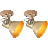 Sonstiges Wand-/plafondlampen industrieel 2 st E27 20x25 cm messingkleur
