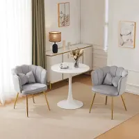Flieks Eetkamerstoel, gestoffeerde stoel, set van 2, geschikt voor keuken, woonkamer of als make-up stoel, comfortabele stoel met metalen poten en fluwele bekleding, grijs