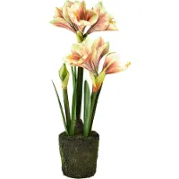 Viana Amaryllis in mosbol kunst met roze-geel gedessineerde bloemen - 45 cm