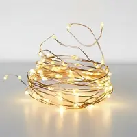 Spetebo 1.10 Zilverkleurige lichtslang met 320 LED's - Draadlichtketting - warmwit