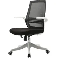 Sihoo Moderne ergonomische bureaustoel, bureaustoel, ademend, taillesteun, opklapbare armleuning ~ zwart