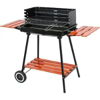 LUND Houtskoolgrill met Windscherm – 53 x 33 cm – Inklapbare Zijplateaus – Verrijdbaar
