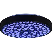 TRIO Reality - LED Plafondlamp - Plafondverlichting - 22W - Aanpasbare Kleur - RGB - Afstandsbediening - Dimbaar - Rond - Zwart - Kunststof