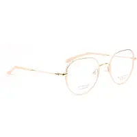 Ana Hickmann Optical Frame HI1247T 05A 50 Titanium