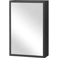HOMCOM Spiegelschaaf voor de badkamer, model 834-552V00BK, hangende kast, wandkast, gemaakt van roestvrij staal, zwart, 40 x 15 x 60 cm