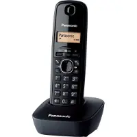 Panasonic KX-TG1611 DECT Nummerherkenning Zwart
