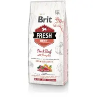 Brit Fresh Beef with Pumpkin - Puppy Large