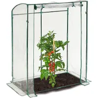 Relaxdays tomatenkas - pvc-folie - 170 x 130 x 75 cm - begaanbare foliekas - kweekkas - transparant-groen
