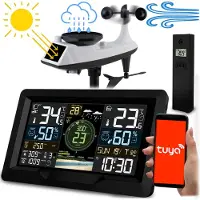 Berdsen Weerstation met wind- en regenmeter BD-914 zwart