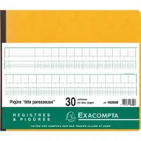 Exacompta Register 27x32cm - uitgesneden hoofd - 30 kolommen op 2 pagina's - 31 lijnen - 80 blad - Geassorteerd - 16300E