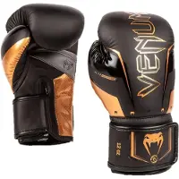 Venum Elite Evo Bokshandschoenen Zwart Brons - 16 OZ