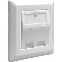 DeLOCK Keystone-wandplaat - 2-poorts - RJ45 snap-in