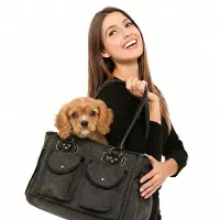 BABOO Hondentas - Verona - Draagtas Hond - Honden Draagtas - Tot 6 kg - Grijs