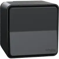 Schneider Electric Pulsschakelaar Buiten - Opbouw - Antraciet - Mureva Styl - - MUR35026