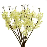 Viana Bessentak creme L30cm 12st