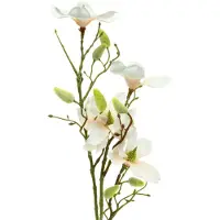 Viana Magnolia Perzik 85cm