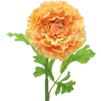 Viana Ranunculus zalm H45cm